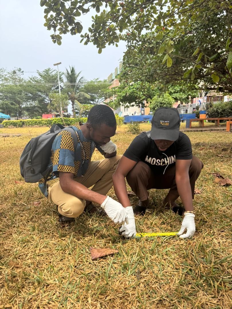 Two MEER researchers measuring vegetation growth at an experimental shade plot in Africa