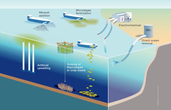 Illustration of marine carbon dioxide removal approaches: mineral addition from a ship, artificial upwelling tubes, microalgae fertilization, sinking of macroalgae or crop waste to the seabed, an electrochemical facility on the coast and direct ocean removal from a coastal tank.
